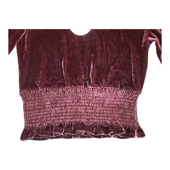 NWT Women's Wild Honey Wine Velvet, Long Sleeve Crop Top Size: L - Picture 3 of 9